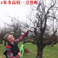 �����綯��֦��958�߿ռ� �綯��֦������3���ִ���֦2.1��