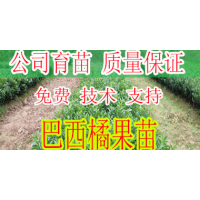 ް۽۹&ް۽۹۸Ǯ&޹Ӧ۽۹