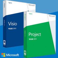 Visio Professional 2013רҵ棬visioͼ