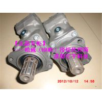 HAWE  K60N-047RDN    