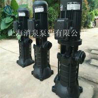 XIAOQUAN消泉泵业出售DL型立式单吸多级24.62DL30.28-84离心管道泵