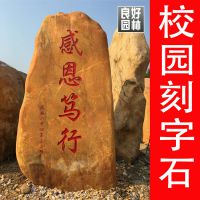 2018ũ彨ʯ´ʯʯ