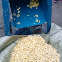 农用粮食挤扁机_小型对辊破碎机_圣鲁豆扁机