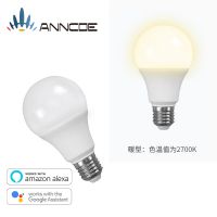 LED Ҿ܁Rdalexawifi cGoogle ؈`