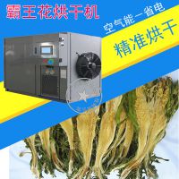 泰保型TB-ZT-HGJ6P霸王花 剑花 烘干机 小型厢式热泵烘干机 空气能 厂家直