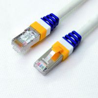 ԭࣨCAT.6A 10GΡ߶ƽ50U