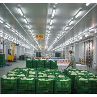 鸡蛋鲜肉禽蛋冷藏保鲜冷库安装价格设计公司??? ?