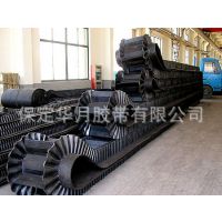 挡边输送带 大倾角输送带 裙边皮带 波状挡边输送带