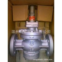 ķ˹׳GP-1000ڵʽѹ  ڵʽѹ