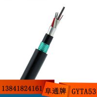 ʽGYTA53-36B1 36о װ˫׹