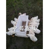 鸭用喂料槽 蛋鸭喂食器鹅料槽直销
