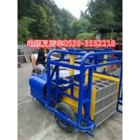 厂家专业生产免烧砖电瓶叉砖车运砖车