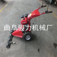  ʽݻ  ĳͲ͸ݻ ż