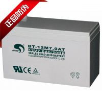 BT-HSE-7ع12V7AH۸+ϵ