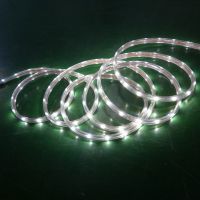 深圳厂家蓝恩光电直销 高压软灯带 220V/110V 桥梁景观照明亮化，室内室外