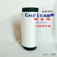 Gericam  ϽάάϽĸ{ճ˿ 75D/72F}