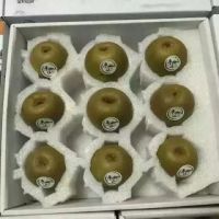 »еEPE豸