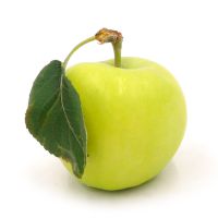 Ӧƻ