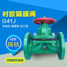 ͸ʴĽĤ G41J-16C DN250 ֶ