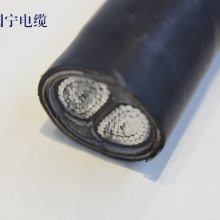 YJLHV 0.6/1KV-2400mm2 Ͻ  ǿ