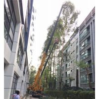 25吨吊车出租吊路灯杆-26米吊车出租-松坪山吊车出租