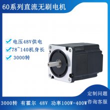 60BL12048ֱˢ48V3000ת