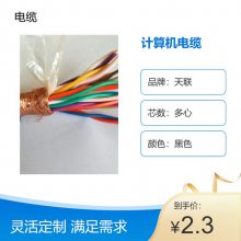 DJYPVP计算机屏蔽仪表连接电缆，天津电缆厂家