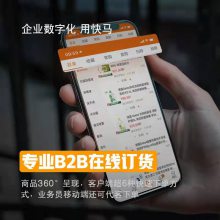 【长沙管家婆软件】快马数字化营销系统 专属b2b订货商城