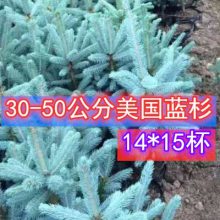 ɼ30-4015*14