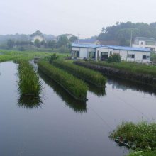 无锡市人工浮岛基地 绿化养护管理 人工浮岛