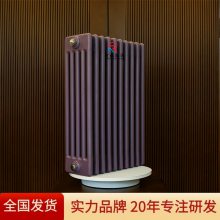 融洋 钢五柱散热器GZ506 大型车间用立地式耐腐蚀节能型