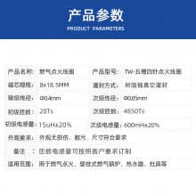 厂家燃油炉松油炉负离子等离子静电电子点火模块负离子臭氧点火线圈DIY实验