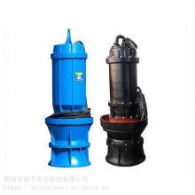 应急防汛潜水轴流泵大口径防汛排涝泵便携式潜水泵厂家