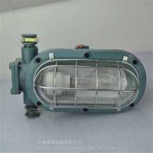 使用寿命长DHC10/21L(A)矿用本安型LED支架灯