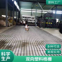 黑色聚丙烯PP土工格栅工程道路基加筋固护坡挡土双向塑料格栅