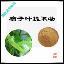 柿子叶提取物10:1 速溶粉 食品级原料 沃特莱斯生物 喷雾干燥