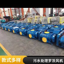 可现场维修污水曝气三叶风机，修理鲁氏罗茨鼓风机