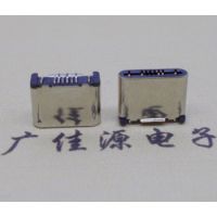 TYPE C3.1ӿ24P6.5MMа0.8PCBĸ