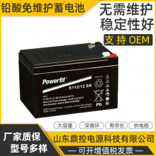 GNBS312/24ǦάPowerfitܱʽ12V24AHUPSϵԴװάѲ