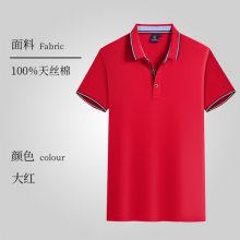 POLO Ƶ T