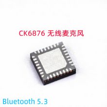 CK6876˷߻ͲоƬ Ƶߴic