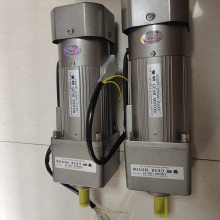 微型减速电机6W10W15W25W40W60W90W120W140W200W大量供应
