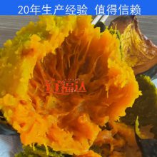 ����***Ӧ�ϹϺ濾�� ��ͷ�濾�� �����عϺ濾�����豸