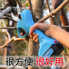 綯֦ ԰԰մʵ綯 ԰綯֦
