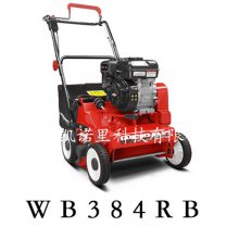 άWB384RBݻ͸ݵݲ԰ݻе ʽƺ