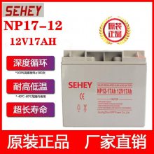 SEHEYNPG80-12Ǧά12V80AHʽֱUPS/EPSά