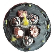 GRAB ELECTRIC CABLE RSKEBLE77300ץͲ3*22+3*8