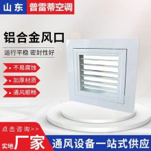 中央空调出风口工厂定制 铝合金双层百叶风口 可开式检修口