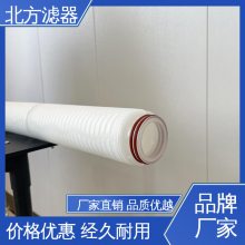 北方滤器 生物制品的过滤 高流通量 玻纤折叠滤芯 使用寿命长