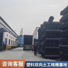 塑料土工格栅 路基加固防断裂pp双向方格网 多种规格定制